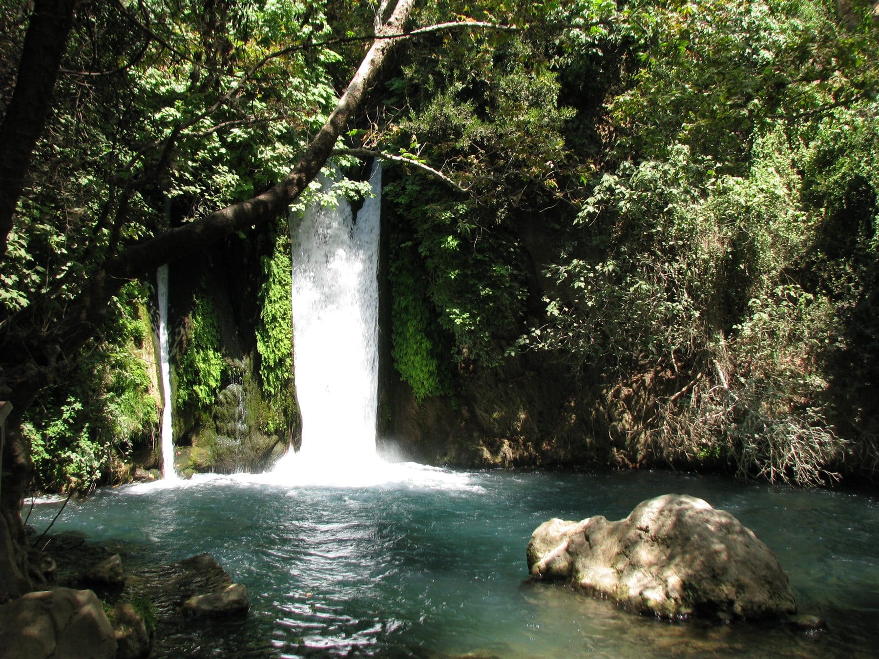 Banias Waterfall surrounded by dense green vegetation