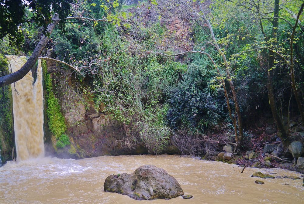 Banias Waterfall surrounded by lush vegetation in northern Israel